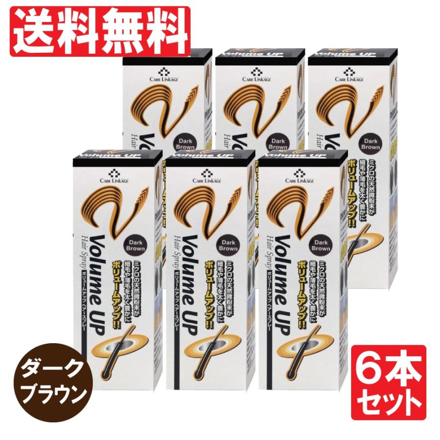 代引不可 増毛スプレー ダークブラウン 10g 0ｇ 6本セット 瞬間増毛 薄毛 抜毛 対策 ふりかけ ボリュームアップ ヘアスプレー かつらの代わりに染毛料 送料無料 即日出荷 Zoetalentsolutions Com
