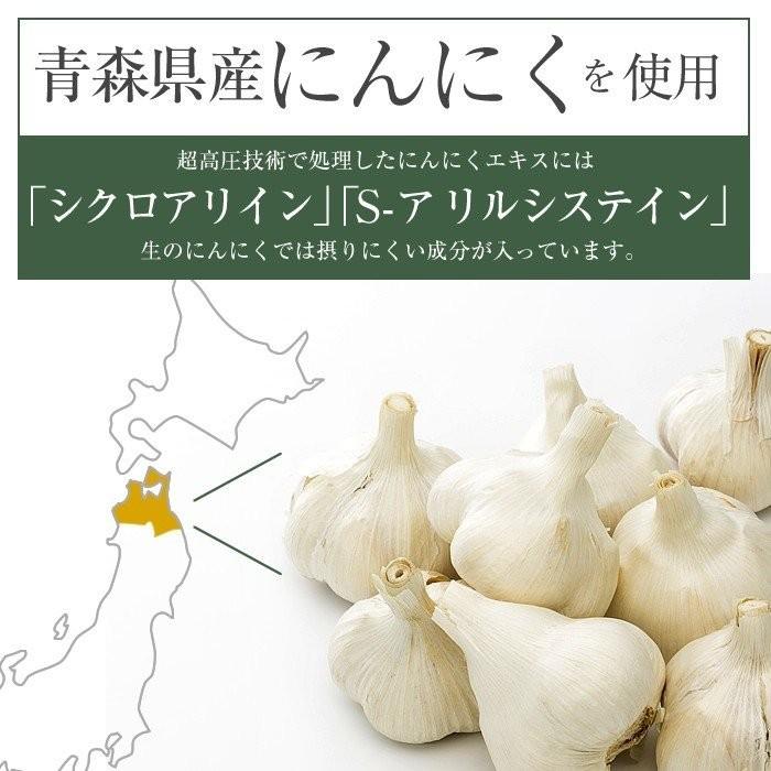 にんにく 楽天市場】黒にんにく卵黄 475mg×62粒 送料無料 卵黄油 にんにく