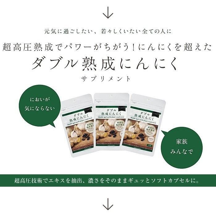 にんにく パワーガーリックEX【健康増進】