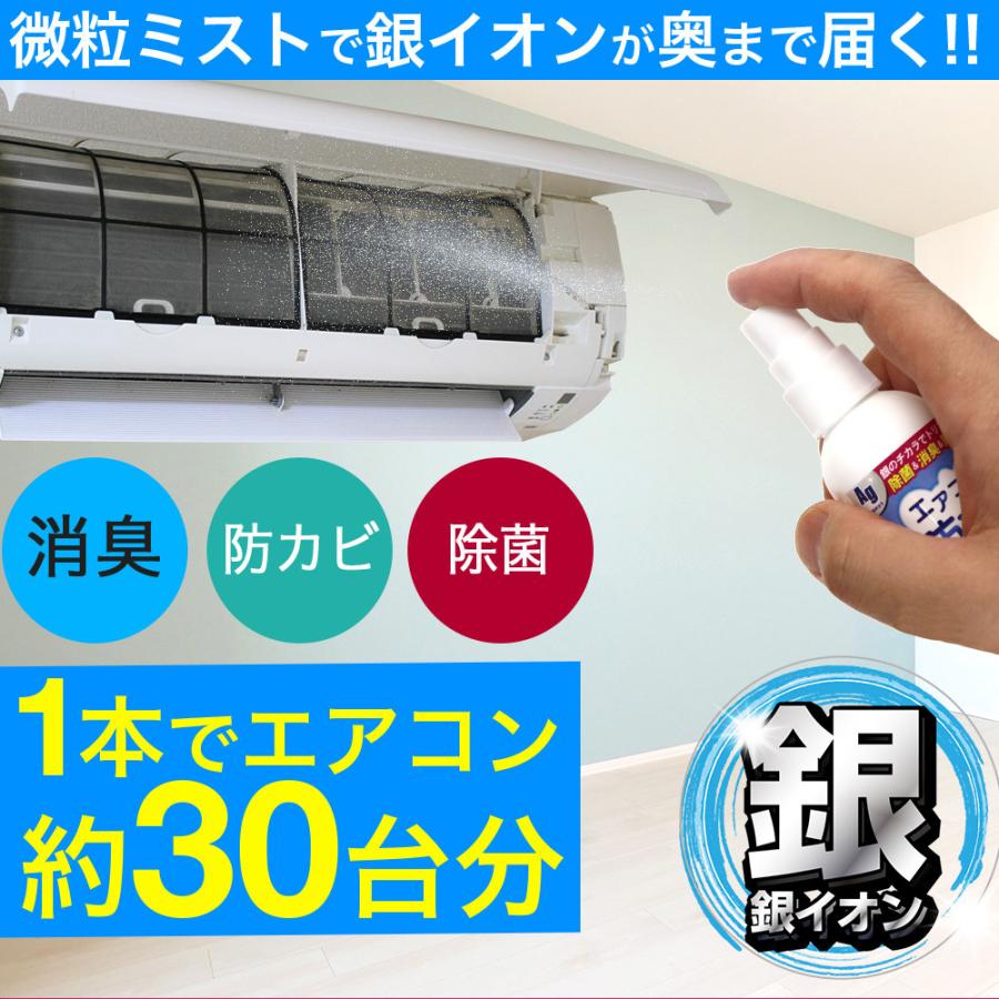 エアコン 掃除 スプレー エアコン用防カビスプレーag 60ml エアコンクリーニング 銀イオン配合 除菌 消臭 防カビ剤 防カビスプレー わごんせる金橋 通販 Yahoo ショッピング