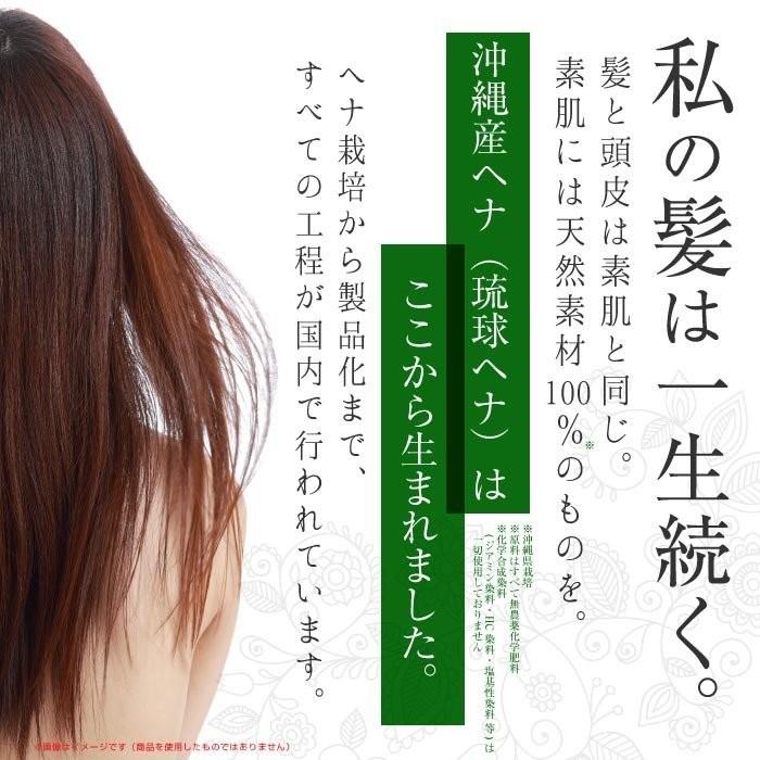 白髪染め 毛染め ヘナ ナチュラルヘナ 明るい色 天然白髪染め 白髪染め 毛染め ヘナ ナチュラルヘナ 明るい色 天然白髪染め