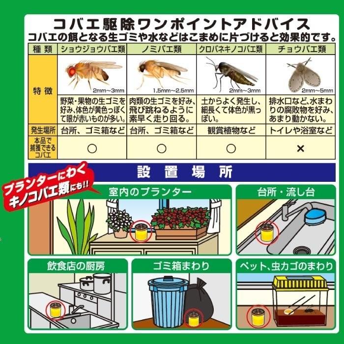 Wトラップ コバエとり 大容量 × 2個セット 2-3ヶ月使用可能 コバエ ハエ取り 日本製 置くタイプ コバエ取り器 室内用｜wagonsale-kanahashi｜03