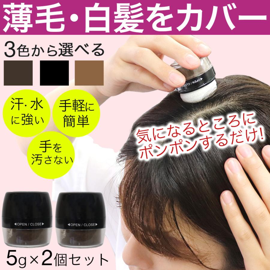 白髪隠し 白髪かくし パウダー シャンデルぽんぽんヘアパウダーP 2個