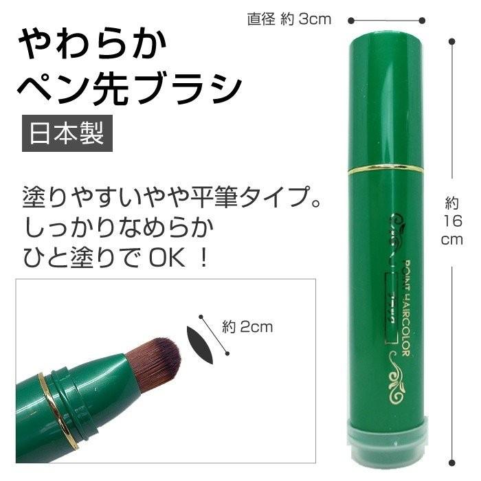 日高昆布 白髪かくし ブラック 20g 部分白髪隠し 日本製 筆 ブラシ 