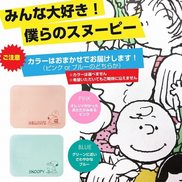 スヌーピー 珪藻土バスマット Mサイズ 45 35cm 珪藻土 Snoopy ピンク ブルー 色おまかせ わごんせる 通販 Paypayモール