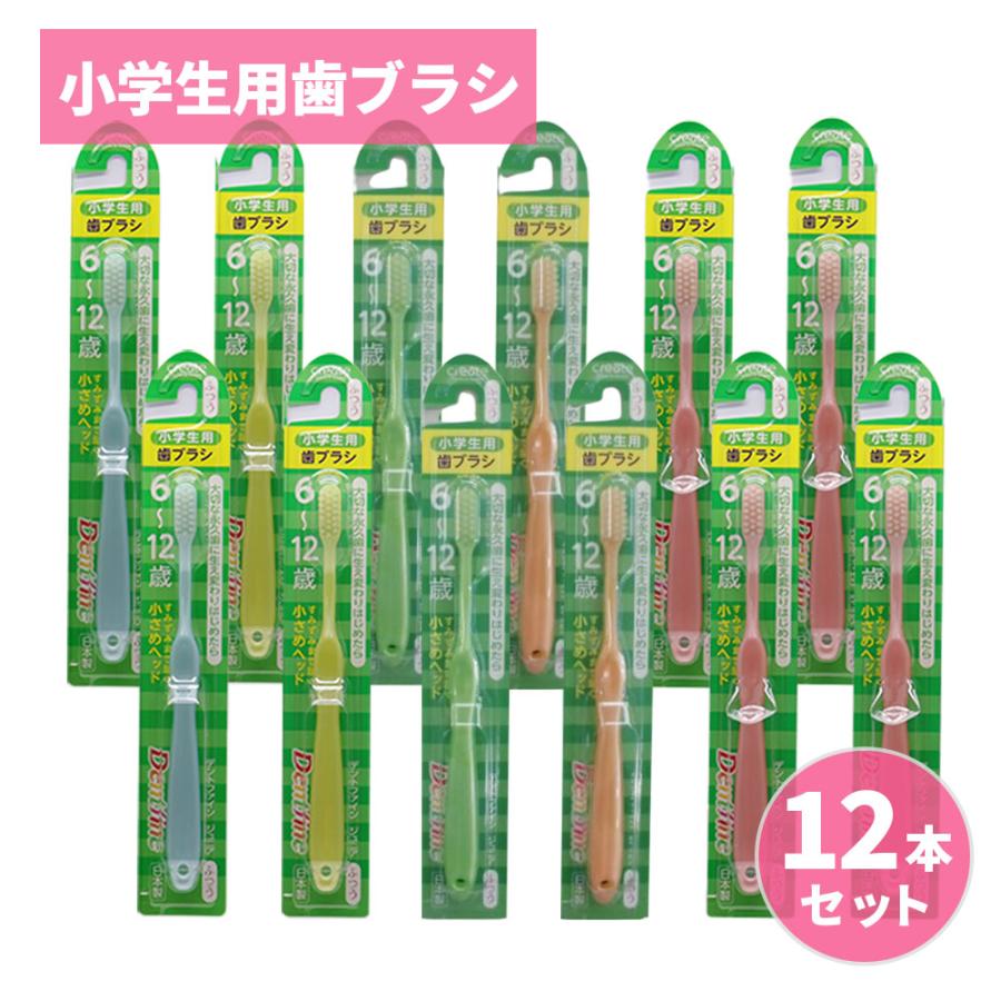 歯ブラシ 小学生用歯ブラシ ふつう 12本セット 6〜12歳 日本製 デントファイン ジュニア 子供用 お得セット の商品画像