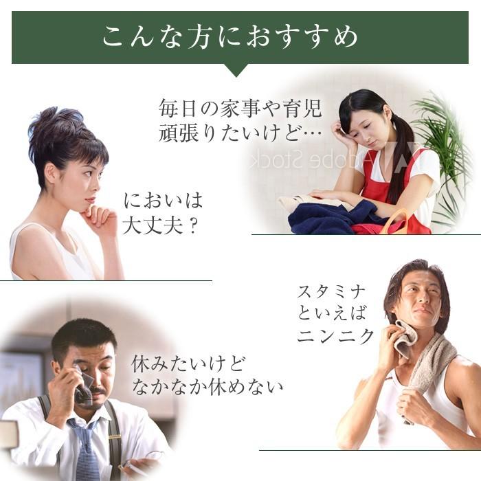 国産にんにくサプリ 2個セット ダブル熟成 にんにく ショウガ配合 東洋