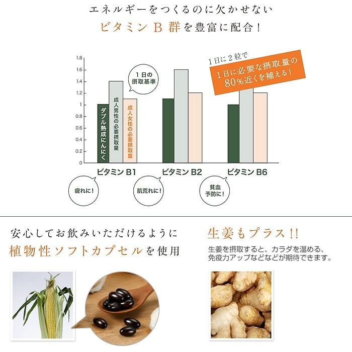 国産にんにくサプリ ダブル熟成 にんにく ショウガ配合 東洋サプリ
