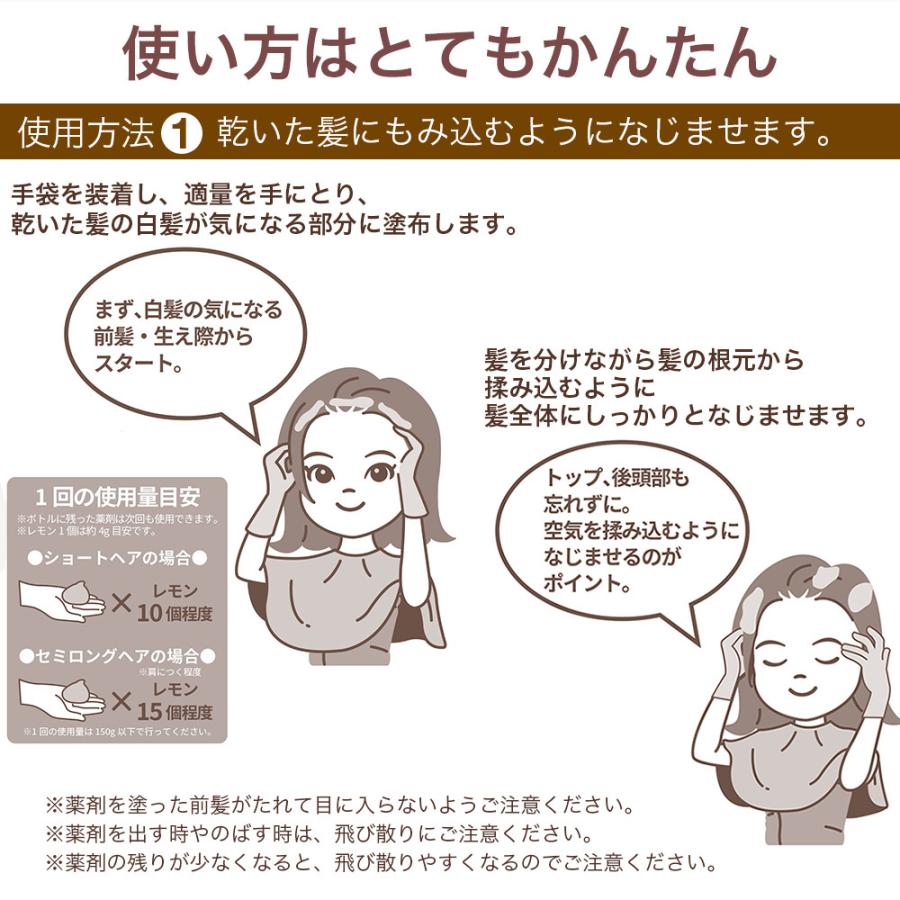 TIAS 白髪染め TIASヘアカラー 泡 泡で簡単に染まる永久染毛剤 150g×3