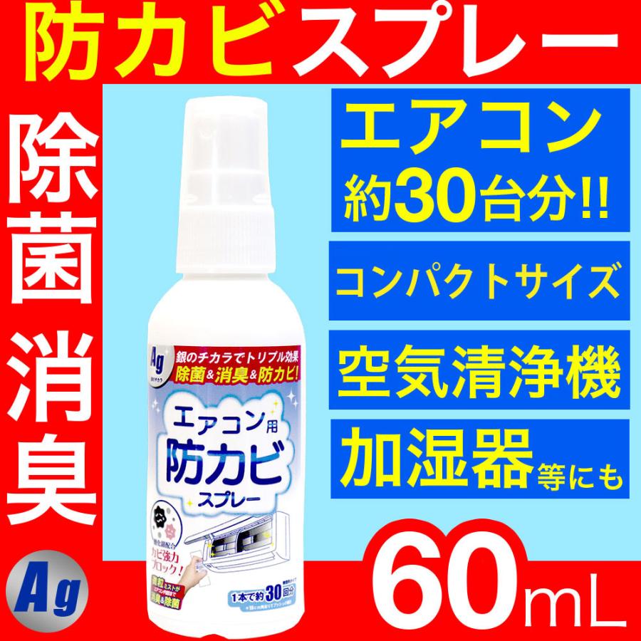 エアコン 掃除 スプレー 防カビ 洗浄 除菌 消臭 Ag 銀イオン 60ml 約30台分 わごんせる 通販 Paypayモール