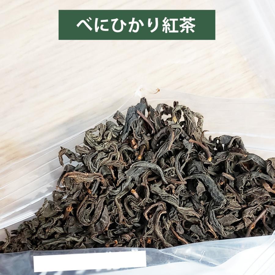 べにふうき茶 無農薬 紅茶 高級 鹿児島 高級茶葉 茶葉 和紅茶 ギフト 国産 リーフティー べにふうきorべにひかり 100g｜wagonsale｜08