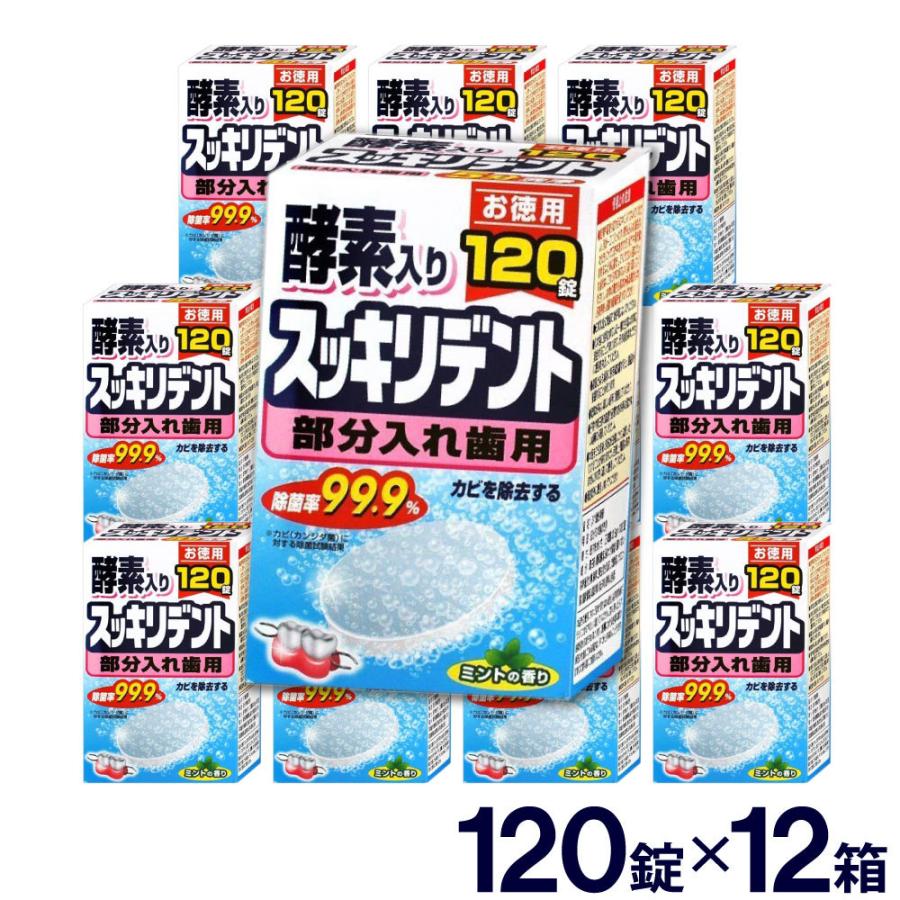 入れ歯 洗浄剤 スッキリデント 部分入れ歯用 入れ歯 洗浄剤 120錠×12箱セット 酵素入り カビ 除去 ミントの香り｜wagonsale