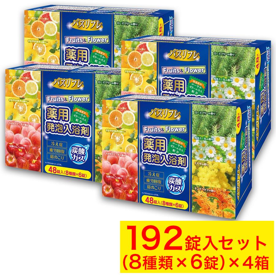 ライオンケミカル 入浴剤 ギフト プレゼント 薬用発泡入浴剤