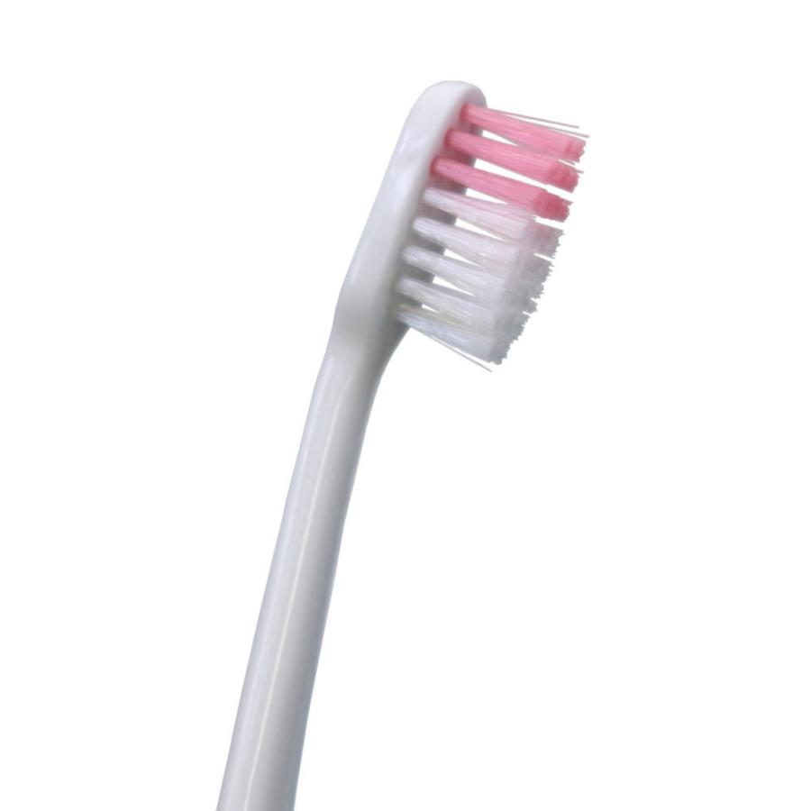 歯ブラシ ストレートカット お買い得12本セット Dr.Denlist デンリスト  