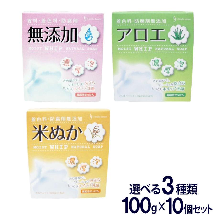 ナチュラルソープ 無添加 アロエ 米ぬか 選べる3種類 10個セット 1000g 100g 10個 石鹸 石けん 高起泡せっけん 洗顔 送料無料 わごんせる 通販 Paypayモール