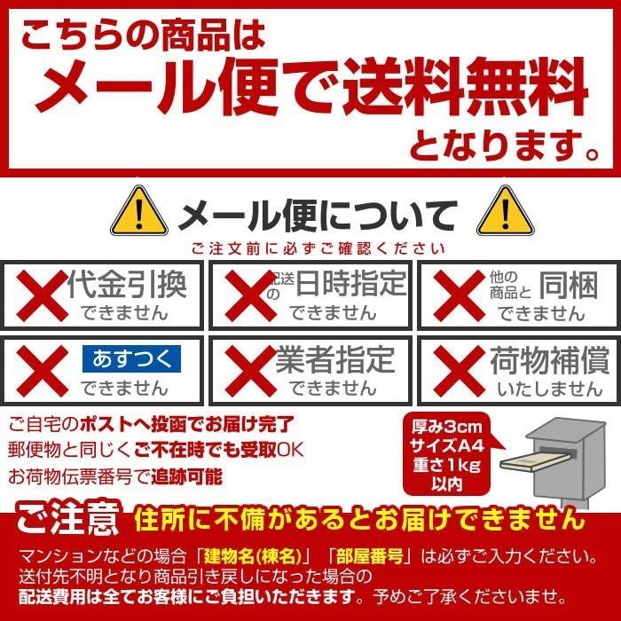 ヨーグルト10コ分の乳酸菌 大容量 154粒×6個セット メール便 送料無料 ゆうパケット｜wagonsale｜06