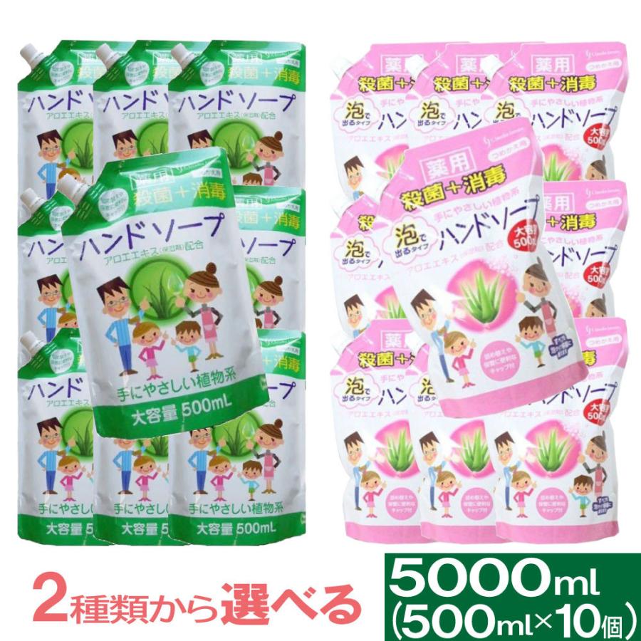 ハンドソープ 薬用ハンドソープ詰め替え用 大容量5000ml セット 500mL×10個 セット 選べる２タイプ 洗浄 殺菌 消毒 保湿 アロエエキス 日本製 送料無料（Yahoo!・わごんせる）