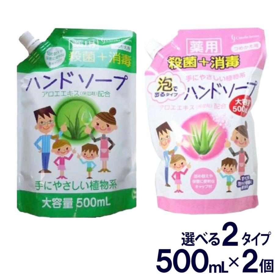 ハンドソープ 薬用ハンドソープ詰め替え用 大容量500ml ２個セット 選べる２タイプ 洗浄 殺菌 保湿 アロエエキス 当店限定販売 日本製 消毒 送料無料