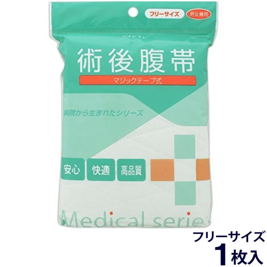 腹帯マジックタイプ 1枚入 アメジスト フリーサイズ 大衛 : わごんせる