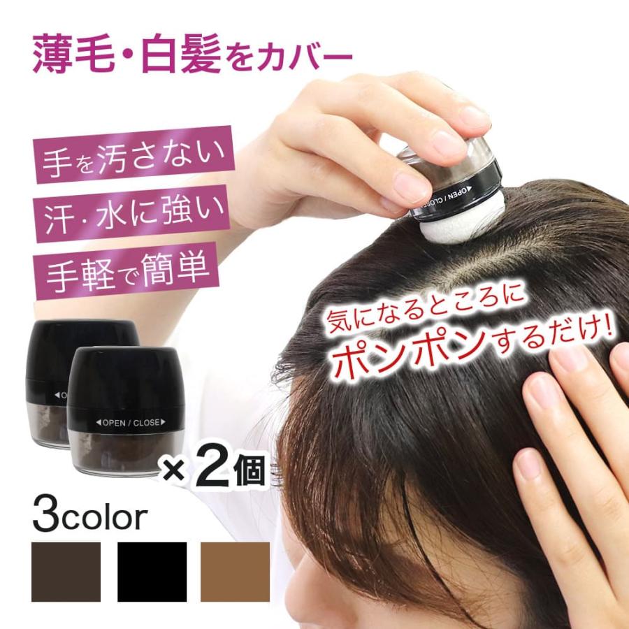 白髪隠し 白髪かくし パウダー シャンデルぽんぽんヘアパウダーP 2個