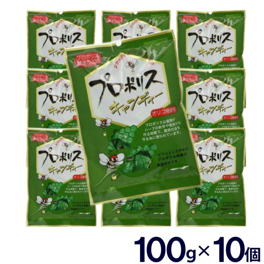 森川健康堂 プロポリスキャンディー 100g×10個セット 通販 激安 プロポリスエキス含有 熊本県 プロポリス はちみつ 商い