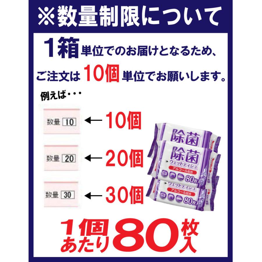 フリーダ プレミアム除菌シート 特大サイズ640mℓ 4パック 大一紙工 除菌シート アルコール 除菌 ウェットティッシュ 80枚入 業務