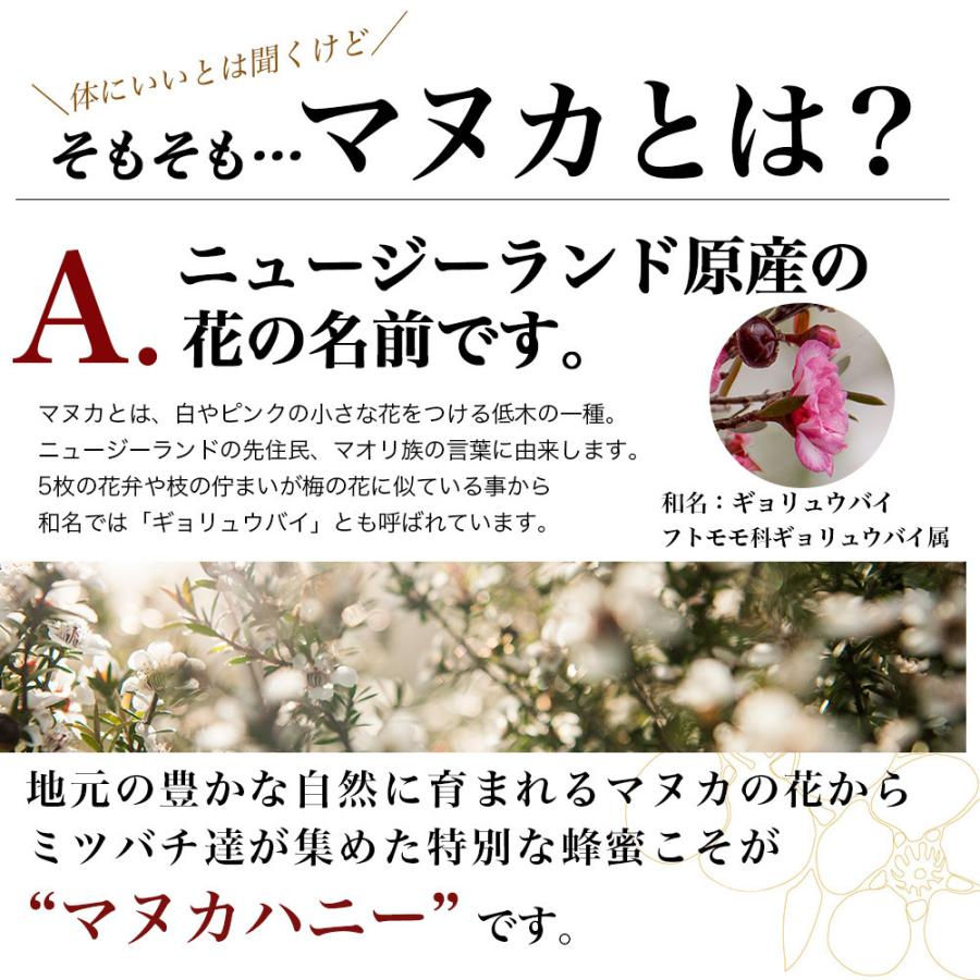 マヌカハニー はちみつ 蜂蜜 Mgo Umf5 250g 2個 ハチミツ 日本向け正規輸入品 日本語ラベル わごんせる 通販 Paypayモール