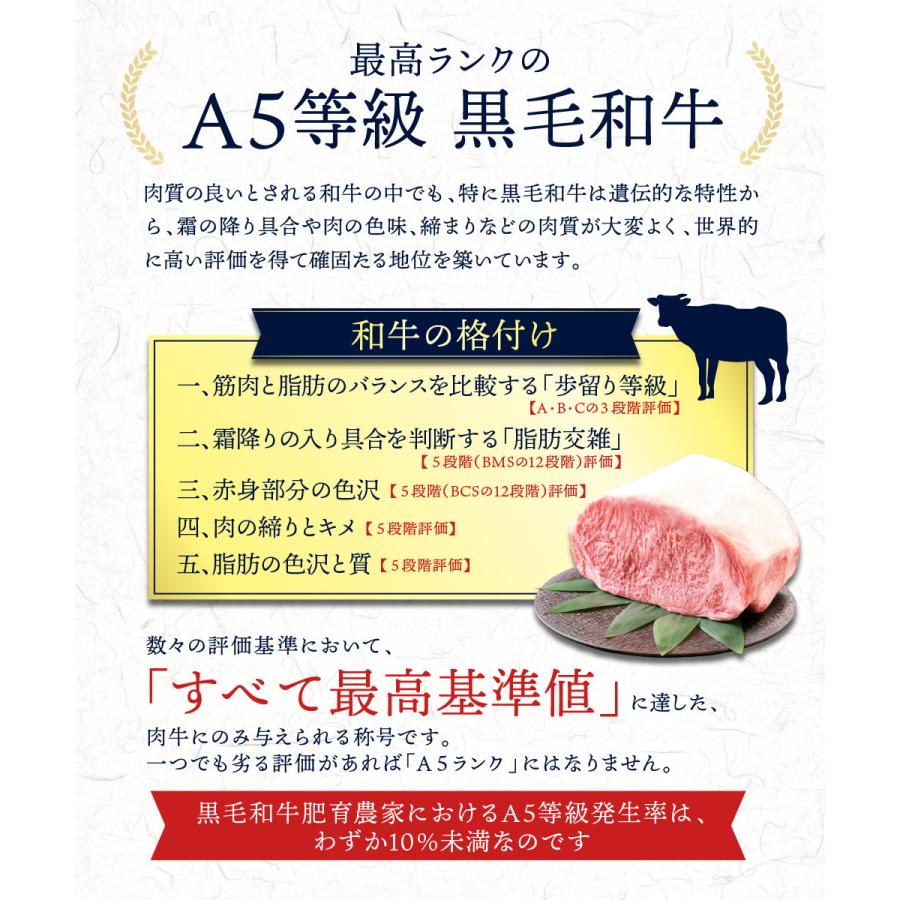 母の日 牛焼黒毛和牛 中落ちカルビ 500g (250g×2) A5等級 贅沢  冷凍食品｜wagyu-hiiragi｜05