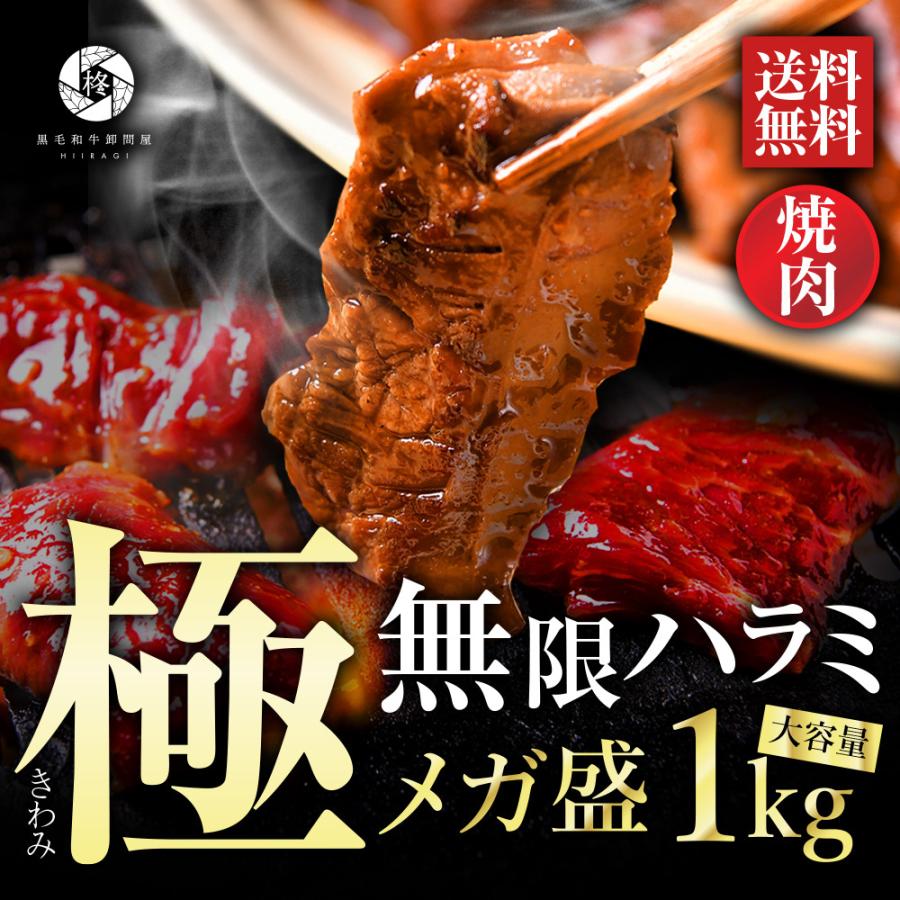 父の日 焼肉 セット 牛 牛肉 タレ漬け 柔らか ハラミ 1kg 1000g (250g×4) バーベキュー BBQ 大容量  冷凍食品｜wagyu-hiiragi