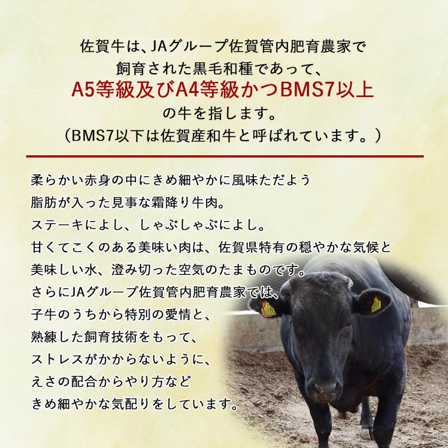 佐賀牛 【A5等級メス牛限定】佐賀牛 シンシン マルシン 200g 1~2名用