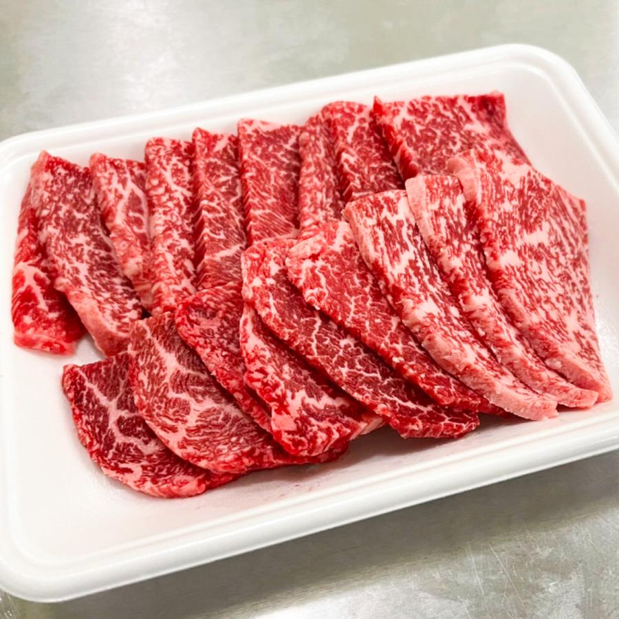 田杉 競、芽ぶき（野尻）、希少・額装用画版、新品額・額装付 Amazon | LEDISHUN レーシングスタンドフック スプロケット