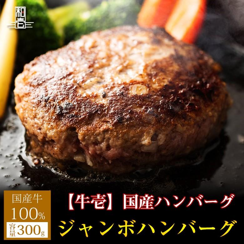 国産牛 ハンバーグ 300g 1個 ジャンボ ジャンボハンバーグ ハンバーグステーキ お肉 肉 ハンバーグ ギフト Jpn Jmb Hg001 和牛壱場 通販 Yahoo ショッピング