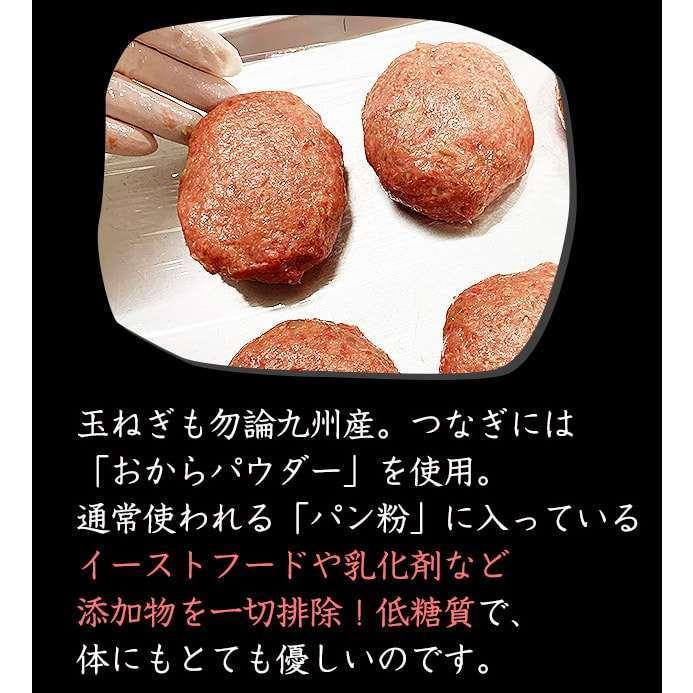 国産 黒毛和牛 A5 和牛ハンバーグ 箔 12個 佐賀牛 宮崎牛 / 無添加 糖質オフ 惣菜 手作り_10