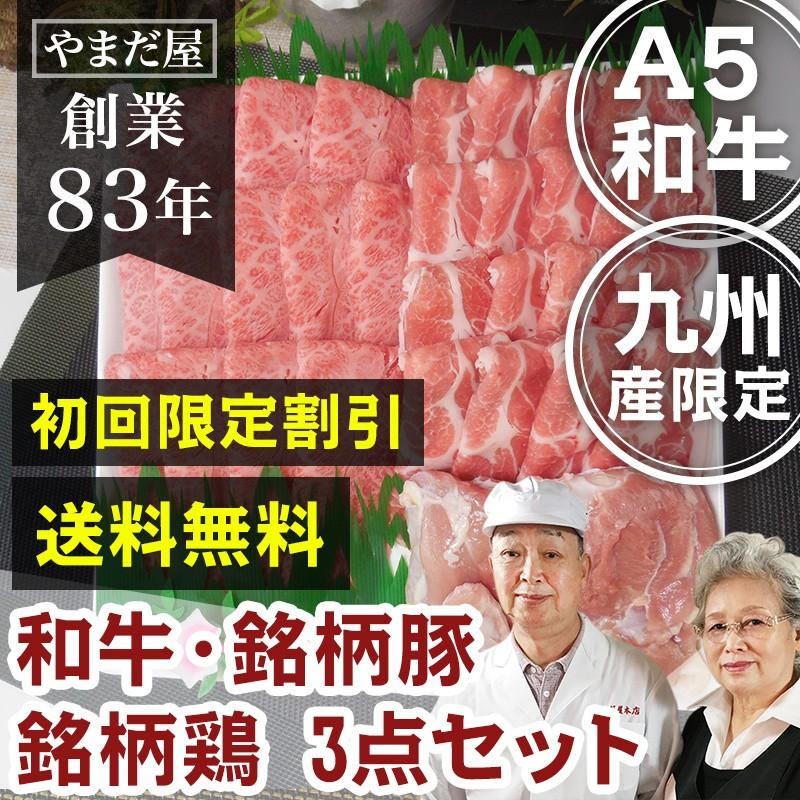 佐賀牛 国産 黒毛和牛 和牛 銘柄豚 地鶏 お得な3点セット / 初回限定 