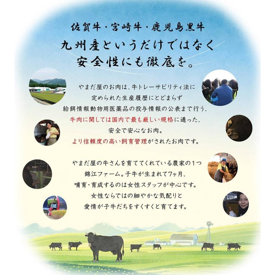 最高級 A5 極上 和牛 カルビ 700g 焼肉用 希少部位 黒毛和牛 佐賀牛 宮崎牛 / 父の日 ギフト プレゼント お祝い 内祝い お返し｜wagyuyamadaya｜18