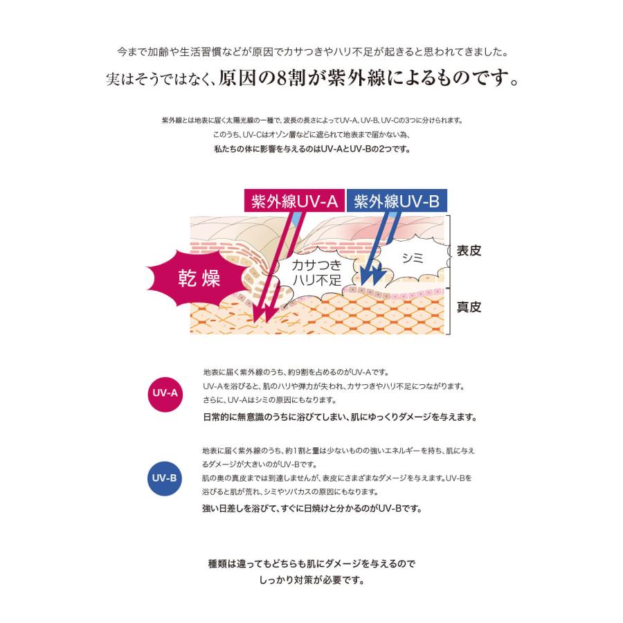 お得2個セット V3 プロテクションサンスクリーン 正規品保証 SPF50