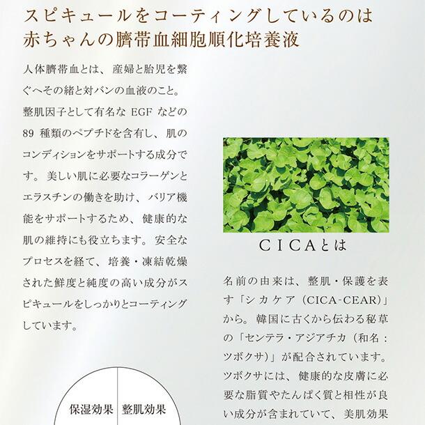 スピケア VM エキサイティング ファンデーション リフィル詰替え用