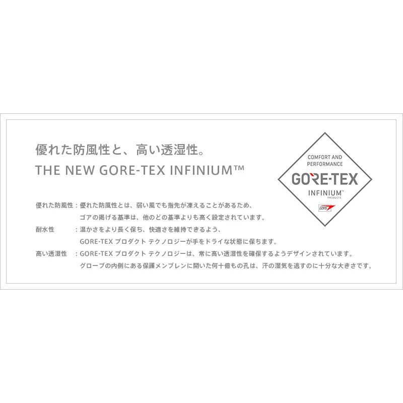 ARC'TERYX（アークテリクス） 【正規取扱店】ARC'TERYX Alpha SL Glove