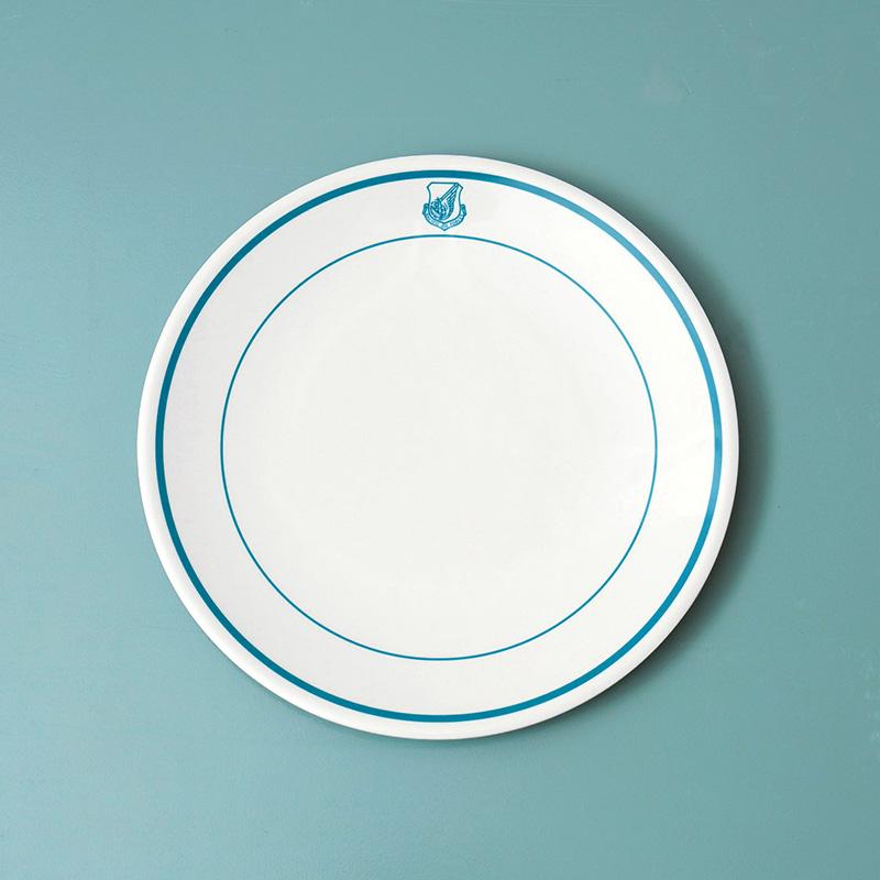 BALLISTICS（バリスティクス） BAA-2324 AIR FORCE PLATE L エア