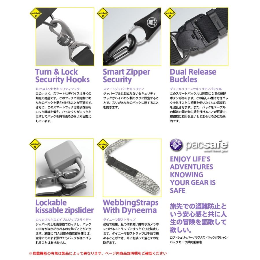 PacSafe（パックセーフ） 12970189 VIBE 40 バイブ40 バックパック