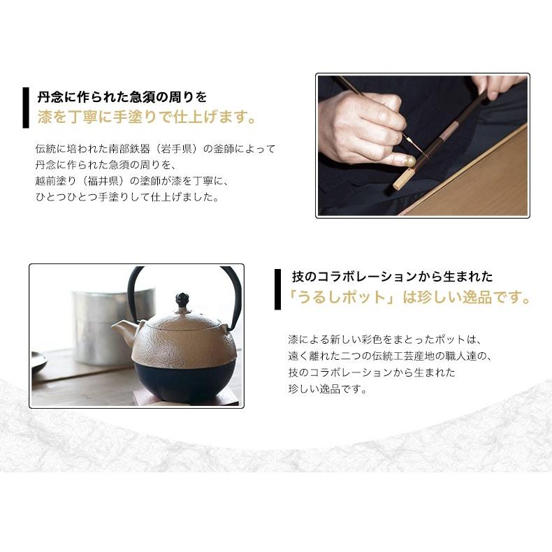 越前漆器X南部鉄器 うるし ティーポット なつめ型 急須 カラーポット