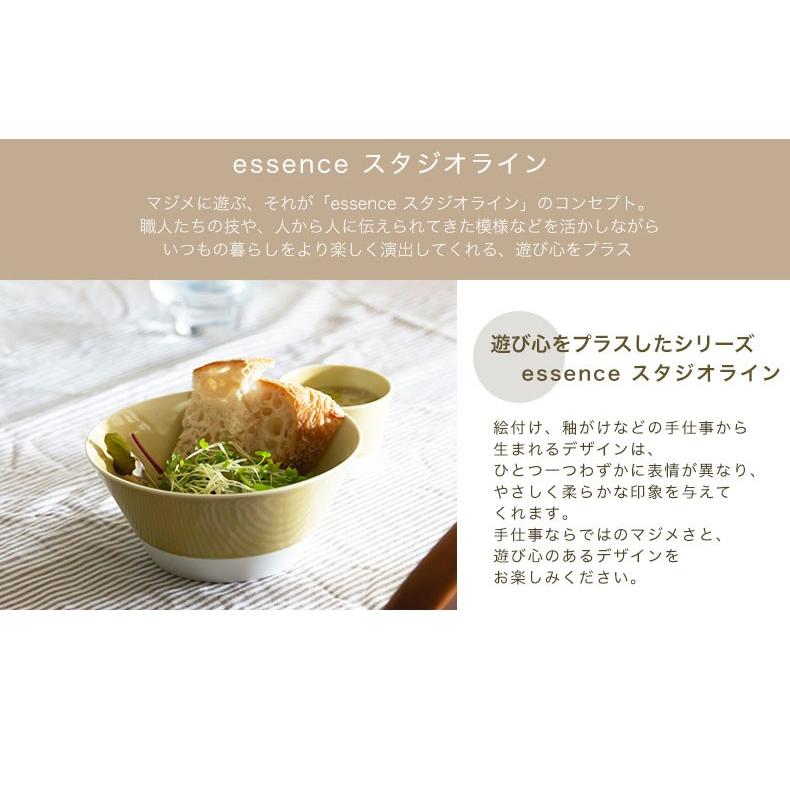 波佐見焼 es ボウル L 西海陶器 essence エッセンス スタジオライン 丼