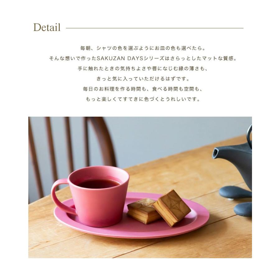 美濃焼 作山窯 SAKUZAN Sara オーバル プレート M (type B) 作山 美濃焼 作山窯 SAKUZAN Sara オーバル プレート M (type B) 作山