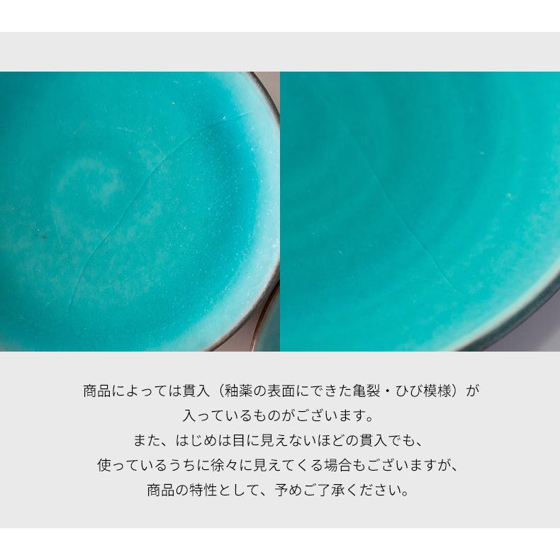 丹波焼 信水窯 市野貴信 空色 8寸 パスタ皿 大皿 パスタ カレー メイン