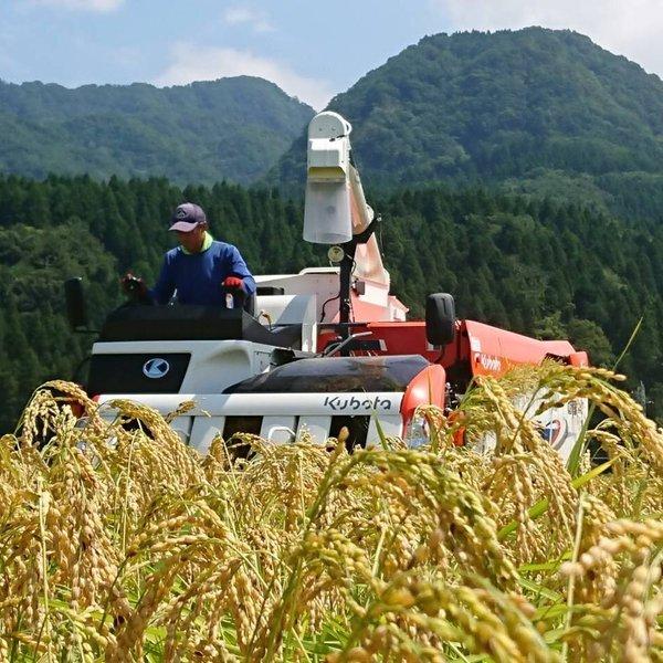 新米 コシヒカリ 玄米 10kg 真空パック 新潟県産 糸魚川産 清耕園ファーム ひすいの雫 令和4年産|waiwaimarket|04