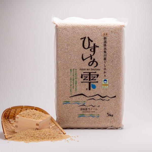 新米 コシヒカリ 玄米 10kg 真空パック 新潟県産 糸魚川産 清耕園ファーム ひすいの雫 令和4年産|waiwaimarket|05