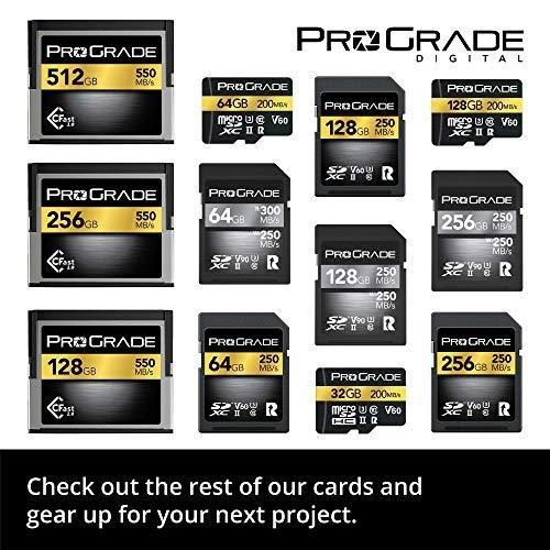 ProGrade Digital (プログレードデジタル) 【SDXC UHS-II V60】 GOLD 250R メモリーカード (128GB)｜waizuyh｜04