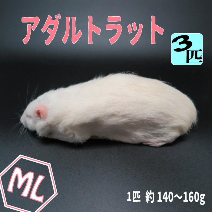 限定セール 冷凍ラット(国産) 50~65g 30匹セット 限定セール 冷凍ラット(国産) 50~65g 30匹セット Amazon | 国産