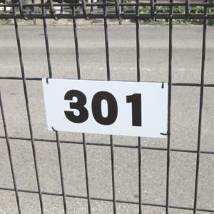 駐車場番号ナンバープレート 3桁まで W210 H95 97mm カッティング文字 Centrodenutricao