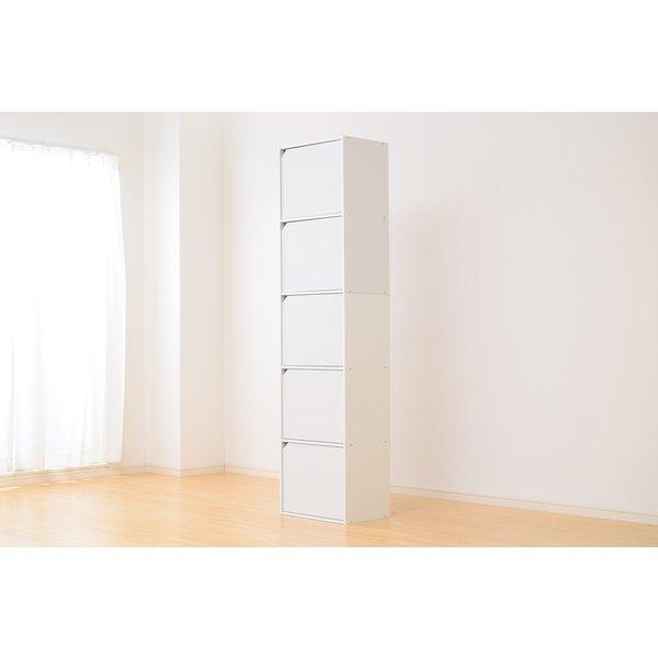 A4-T5D A4サイズ収納OK　扉付きカラーボックス　-5ivox-フィボックス